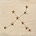 The Digitalis Archives