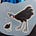 Cassowary and Coot’s Substack