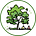 Green Neighbor