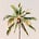 Under The Palm's avatar