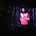 Tristan Grøtvedt Haze's avatar