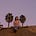 susannah pk's avatar