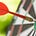 Bullseye with Matt Ralston's avatar