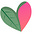 Wild Heart Nature Connection's avatar