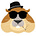 The Gopher's avatar