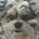 Brent Noorda's avatar