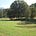 Tritt Park's avatar