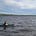 NH Lake Finder's avatar