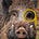 InfoHog's avatar