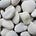 Random Rock Flipping's avatar