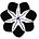 Huachuma Collective's avatar