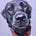 John Halpin's avatar