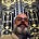 Tony McMahon's avatar