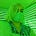 Gaye "Gaia" Soykok's avatar