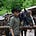David Zhi LuoZhang's avatar