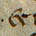 Archives & Special Collections's avatar