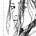 Kate French-Morris's avatar