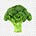 Broccoli's avatar