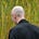 Ben Vickers's avatar