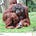 Philip Thomson's avatar