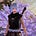 Nioh Berg's avatar