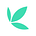 Bamboo's avatar