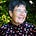 Penny McKinlay's avatar