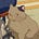 noop's avatar