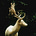 Daystar Aspect's avatar