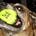 MoosesMom's avatar