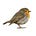 Robin Research's avatar