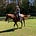 M. Trosino's avatar
