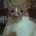 Marycat2021's avatar