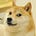 The Dog's avatar