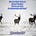 Running Elk's avatar