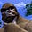 Aaron Sunshine's avatar