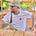 John Haule's avatar