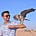 Anurag Inamdar's avatar