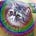 Doctor Kitt's avatar