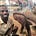Timothy Kasuka's avatar