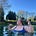 Vic - beginner wild swims ❄️'s avatar