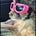 David Cashion's avatar