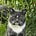 Kat Bro's avatar
