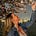 Alicia Kenworthy's avatar