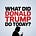 What Did Trump Do Today?'s avatar
