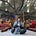 Shalini Bahl, PhD's avatar