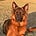 Sheila's avatar
