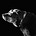 Dog Wise's avatar