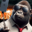 Donkey Konger's avatar