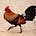 Red Rooster's avatar